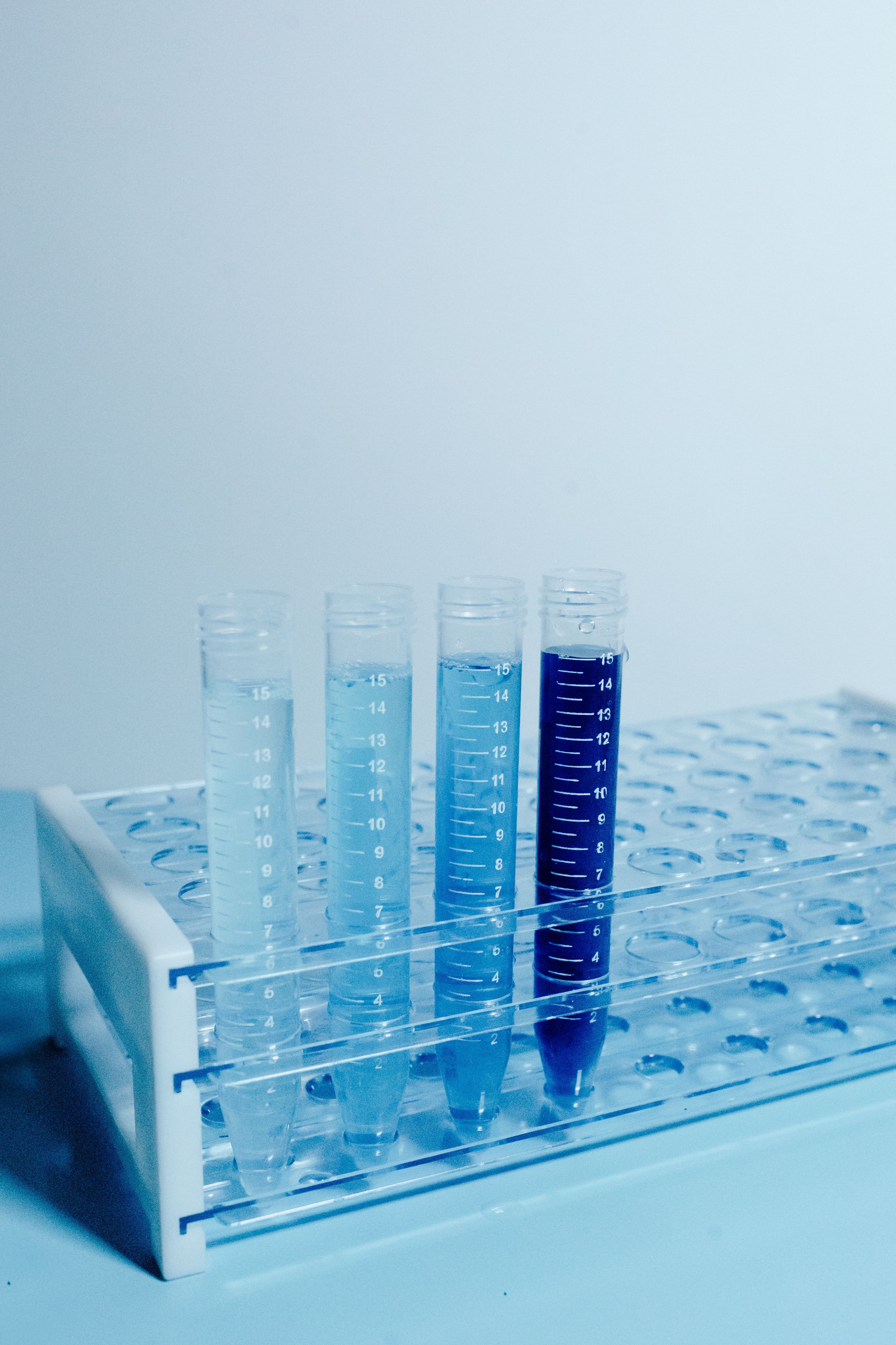 Laboratory support team reviewing peptide testing questions and sample guidance